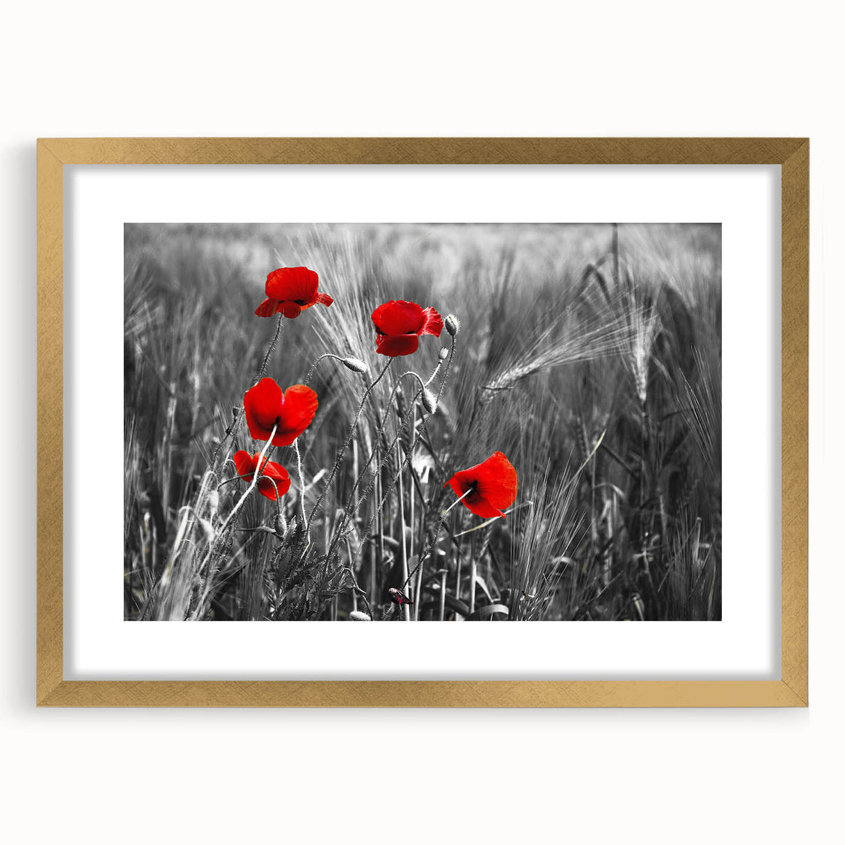 Botanical poppy design wall art framed in gold, showcasing vibrant colors and intricate floral details, perfect for enhancing home decor and adding elegance.