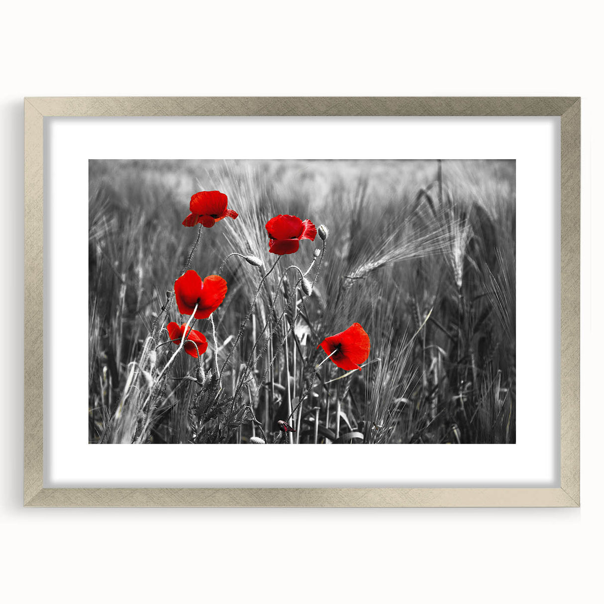 Framed botanical wall art featuring a vivid poppy design in a silver frame with a mat, showcasing intricate floral details and vibrant colors, perfect for home decor.