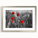 Framed botanical wall art featuring a vivid poppy design in a silver frame with a mat, showcasing intricate floral details and vibrant colors, perfect for home decor.