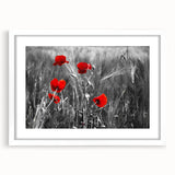 Framed wall art featuring a botanical poppy design with a white mat, showcasing delicate floral details and vibrant colors, perfect for home decor enhancement.