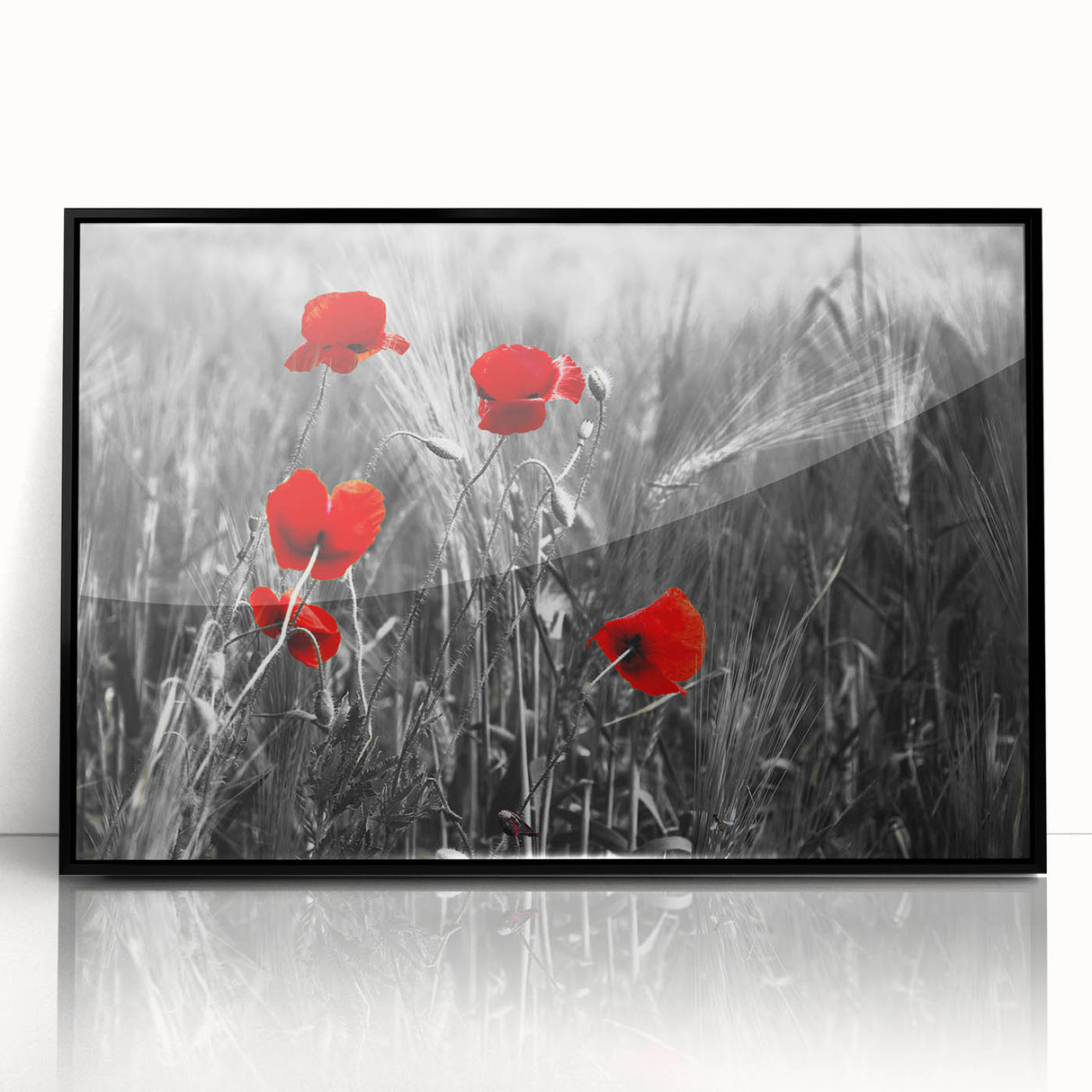 Framed wall art featuring a botanical poppy design with vibrant colors and intricate details, displayed in a sleek black frame, perfect for home decor.