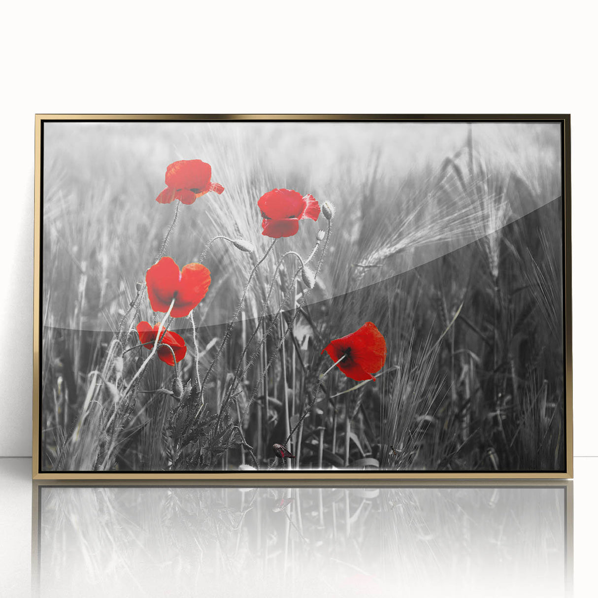Framed wall art featuring a botanical poppy design with vibrant colors, set in a gold-accented frame, ideal for home decor and enhancing interior aesthetics.