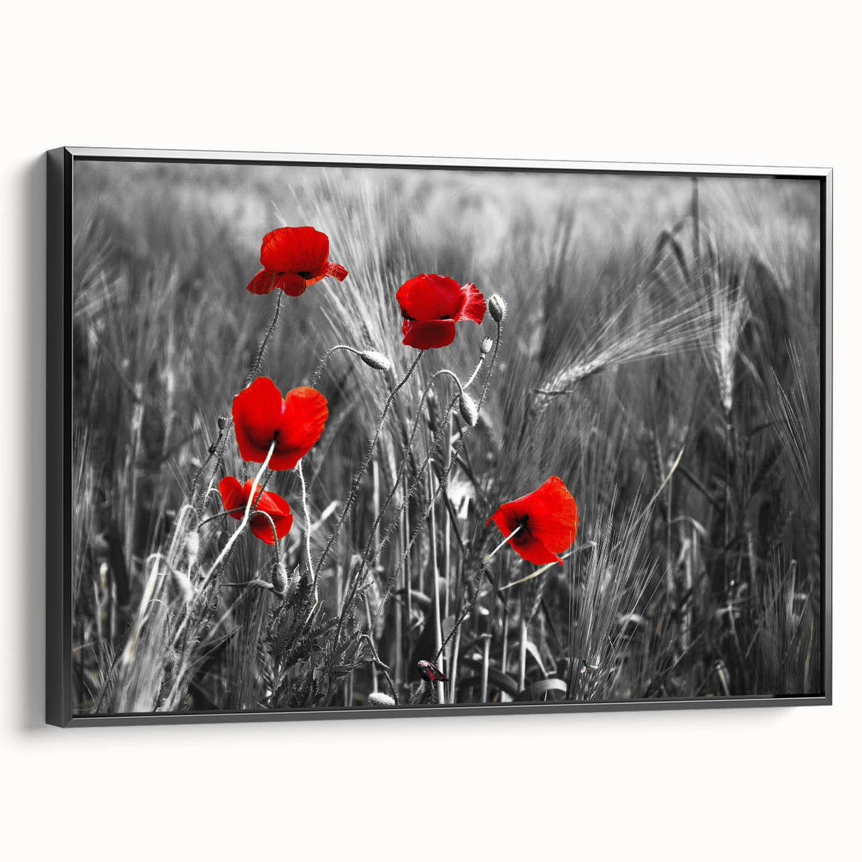 Framed canvas wall art featuring a vibrant botanical poppy design, set against a sleek black background, showcasing the artwork from a side view for depth and dimension.