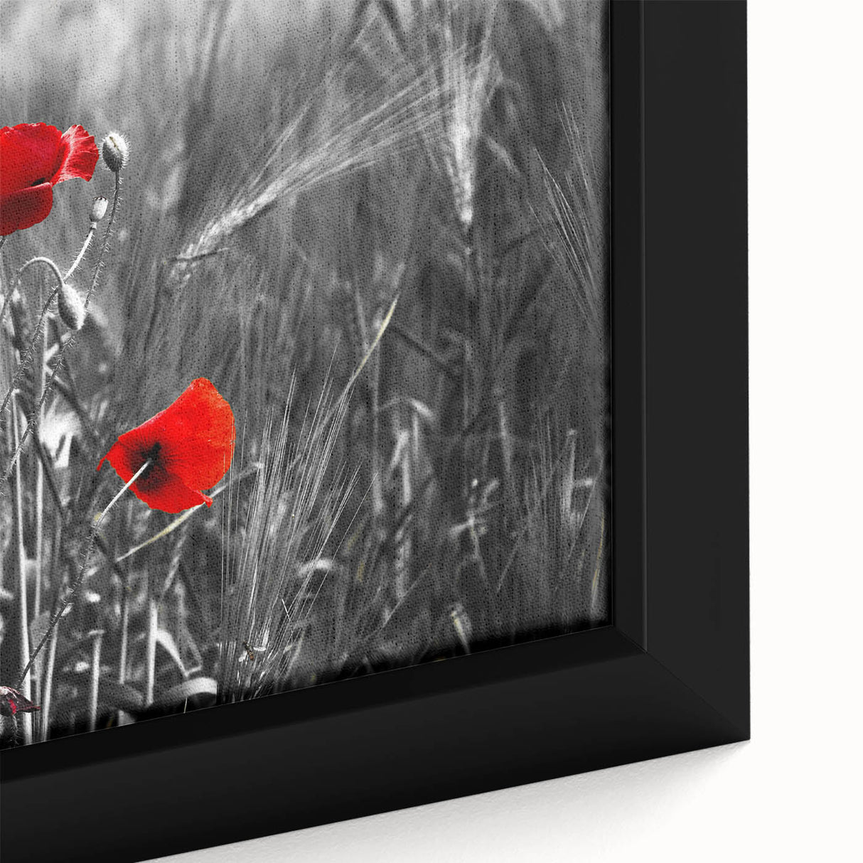 Close-up of a framed botanical poppy wall art design showcasing vibrant red and orange flowers against a soft beige background, perfect for home decor.