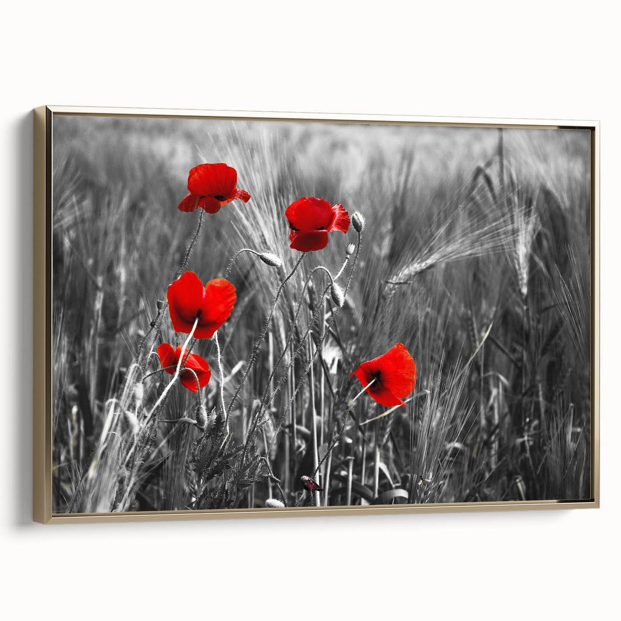 Framed canvas wall art featuring a botanical poppy design in vibrant colors, showcased from a gold side view, ideal for modern home decor.