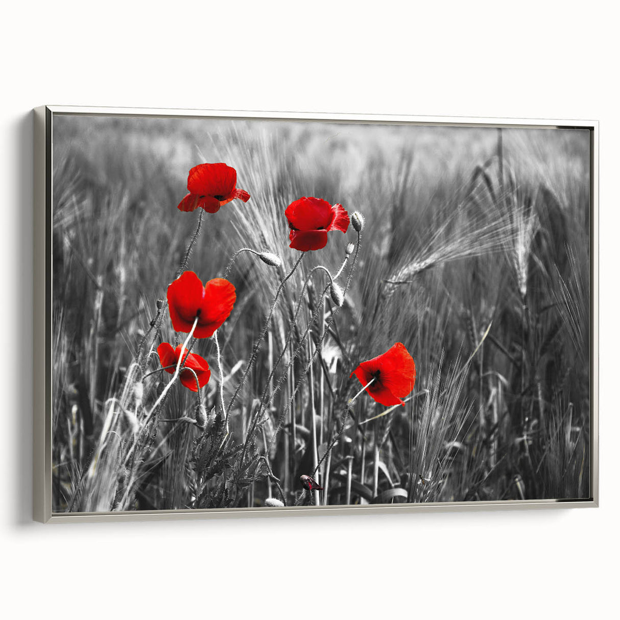 Framed canvas wall art featuring a botanical poppy design with a silver frame, showcasing vibrant colors and intricate floral details, perfect for home decor.