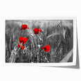 Botanical poppy wall art print showcasing vibrant red and green colors, elegantly rolled for easy display and shipping, perfect for home decor enhancement.