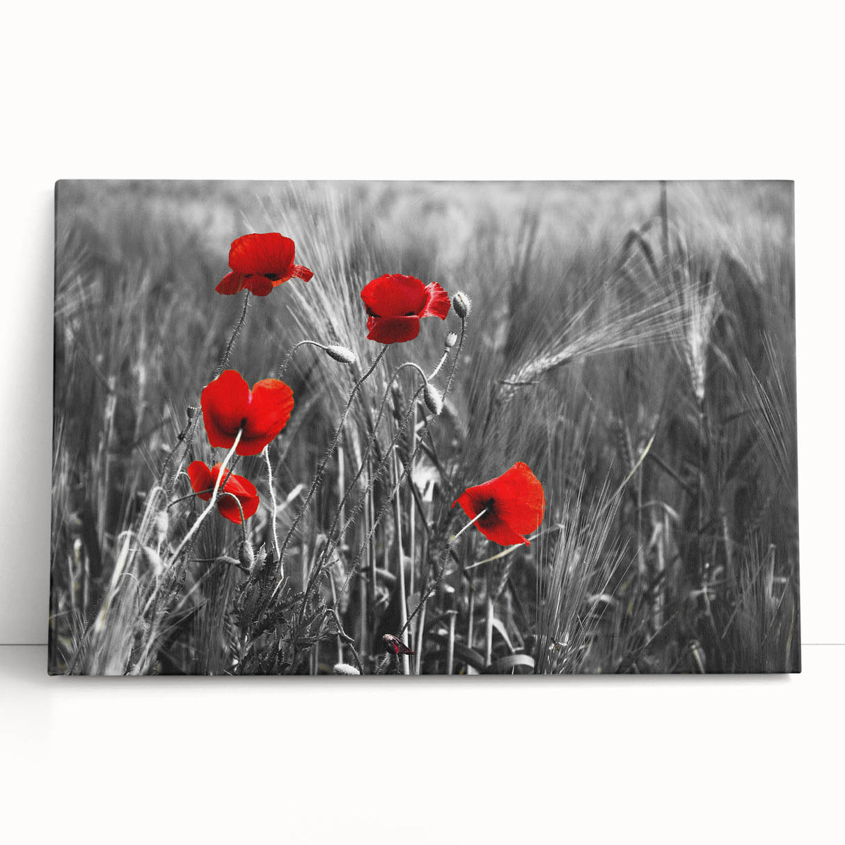 Stretched canvas wall art featuring a vibrant poppy floral design in vivid colors, elegantly leaning against a light background, perfect for home decor.
