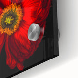 Close-up of a vibrant botanical poppy wall art piece, showcasing intricate details and bold colors, displayed on acrylic glass for a modern aesthetic. Perfect for nature-inspired decor.