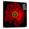 Acrylic glass wall art collection featuring a vibrant botanical poppy design, displayed in a side view with decorative pins, ideal for home decor enhancement.