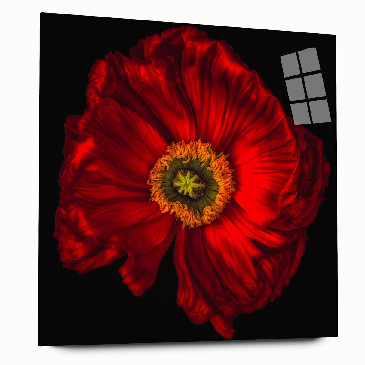 Poppy botanical wall art design displayed in a sleek acrylic frame, showcasing vibrant red flowers and lush green leaves, perfect for modern home decor.
