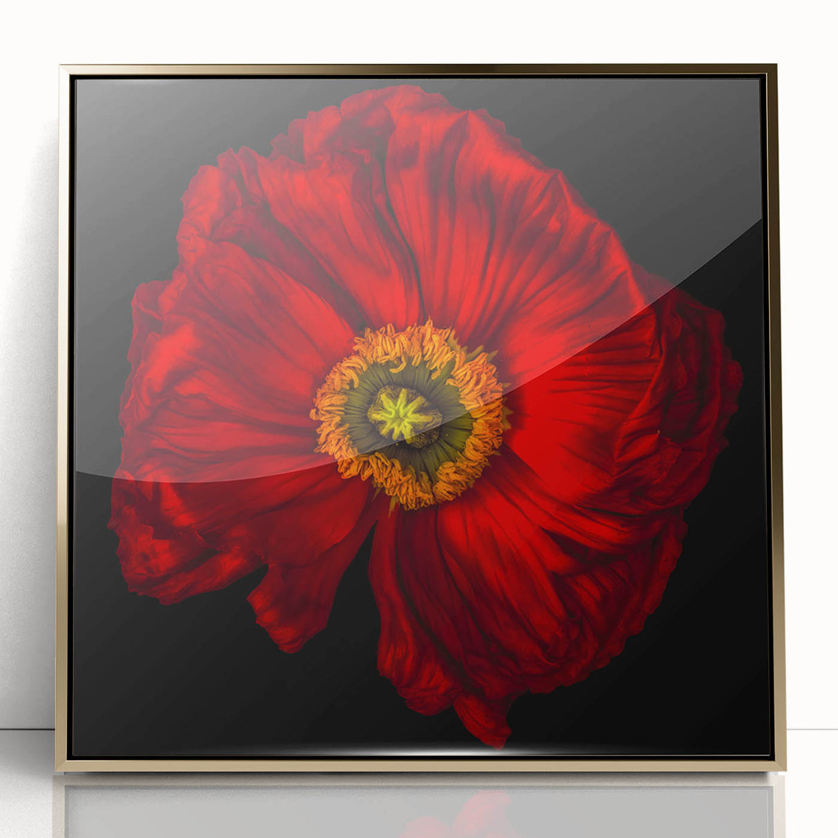 Framed botanical wall art featuring a vibrant poppy design with gold accents, set against a clean white background, ideal for home decor and floral enthusiasts.