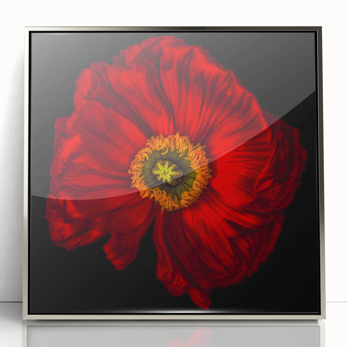 Framed wall art featuring a botanical poppy design in vibrant colors, set in a sleek silver frame, perfect for modern home decor and floral enthusiasts.