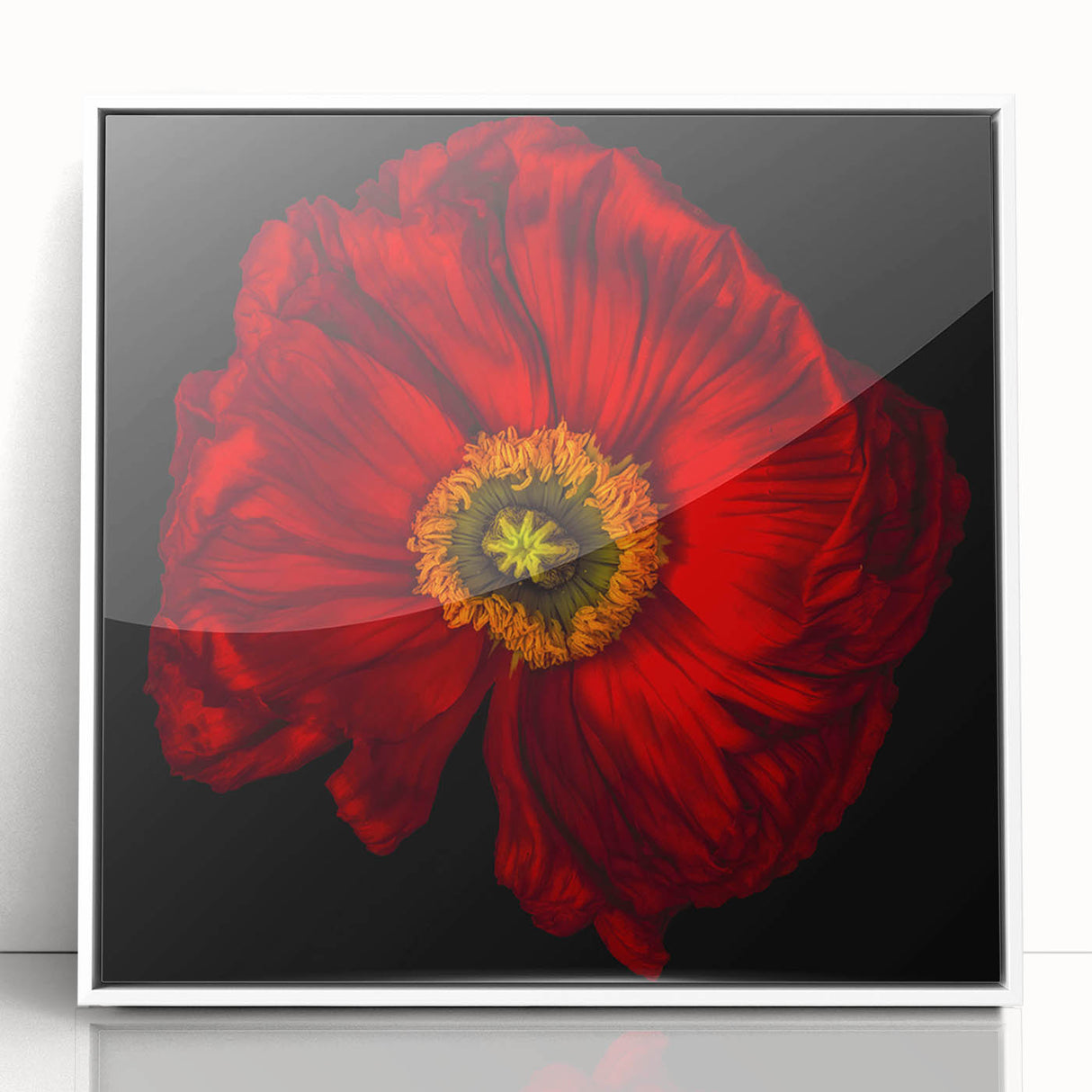 Framed botanical wall art showcasing a vibrant poppy design in acrylic, featuring a white frame for a modern touch, ideal for home decor enhancement.