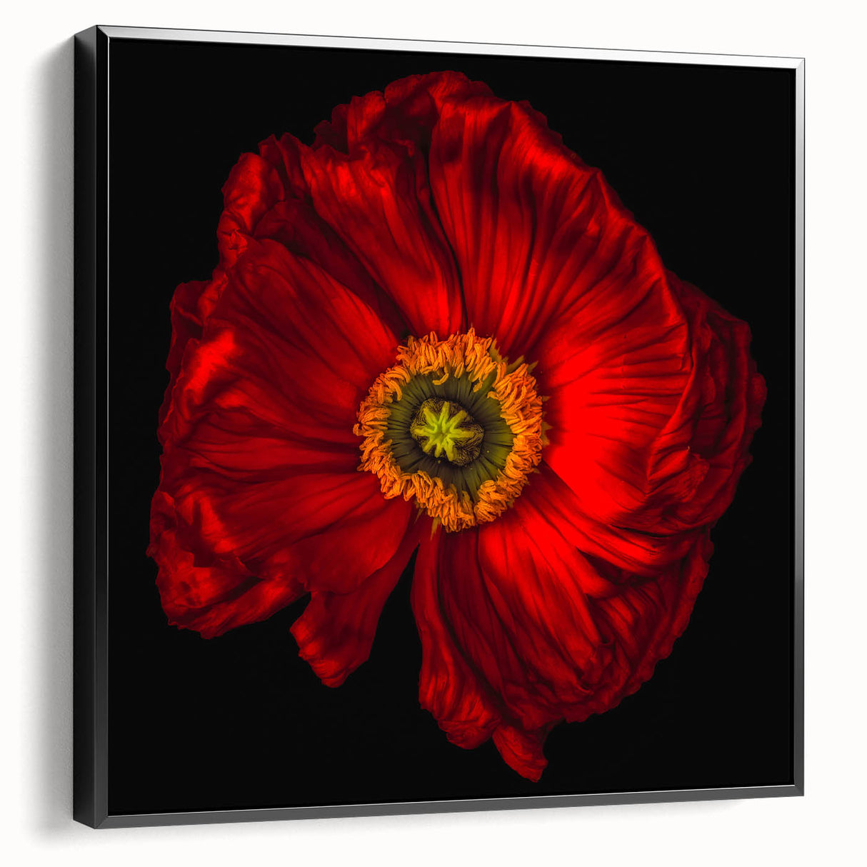 Framed canvas wall art featuring a vibrant poppy botanical design in a sleek black frame, showcasing intricate floral details ideal for modern decor.