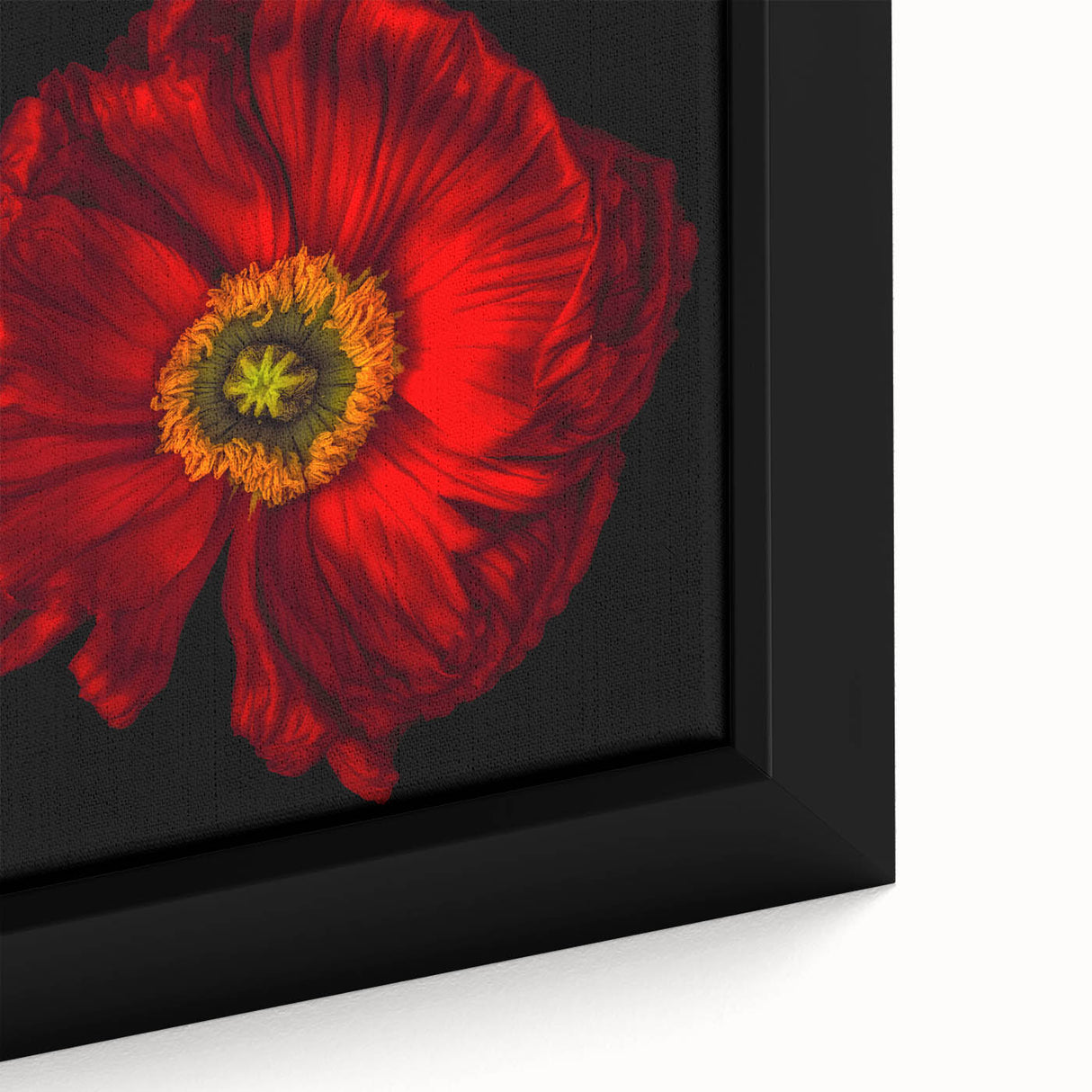 Close-up of a framed botanical poppy canvas wall art piece, showcasing vibrant red and orange flowers against a soft green background, perfect for home decor.