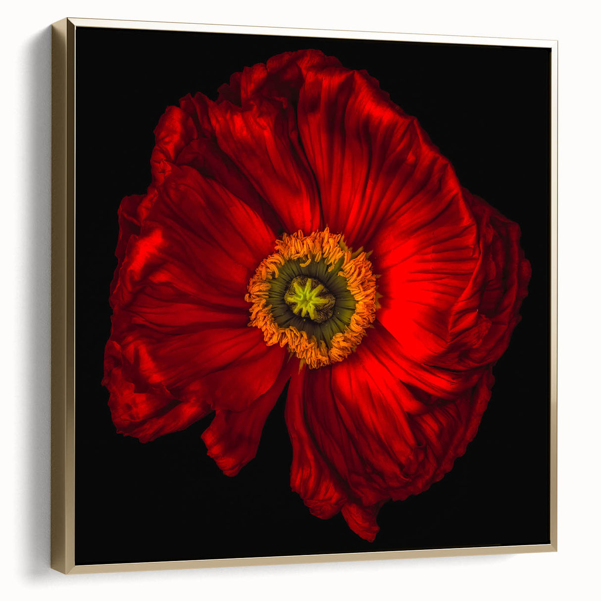 Framed wall art featuring a botanical design of vibrant pink poppies set against a silver and gold background, perfect for enhancing contemporary home decor.