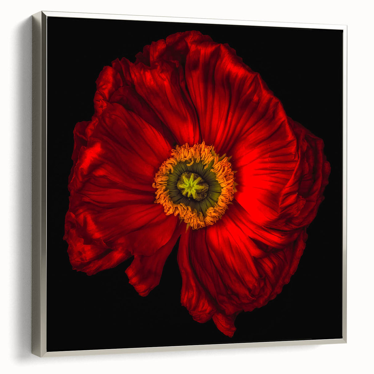 Framed canvas artwork showcasing a botanical poppy design, featuring vibrant red and green colors, elegantly displayed with a silver frame against a neutral background. Ideal for home decor enthusiasts seeking nature-inspired wall art.