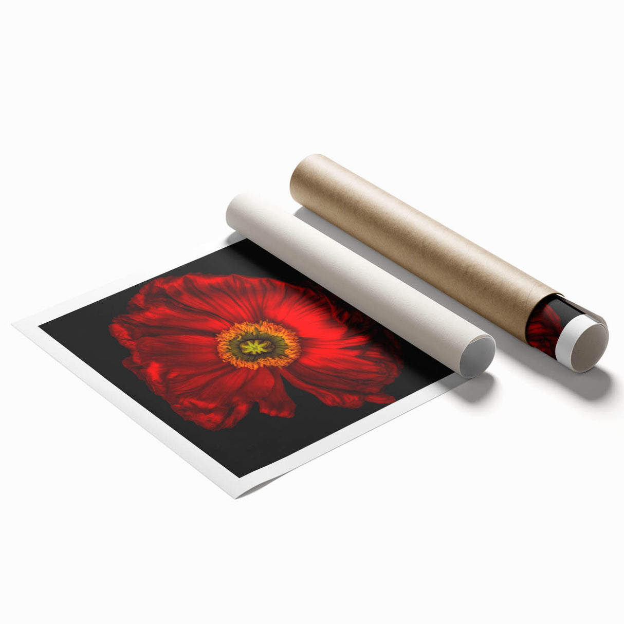 Botanical poppy wall art print showcasing vibrant red and orange flowers against a soft cream background, perfect for adding a touch of nature to home decor.