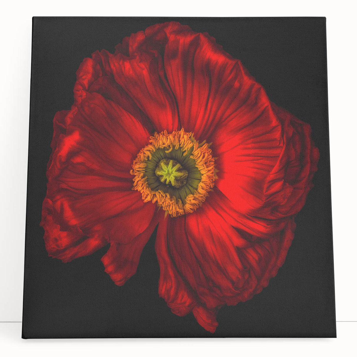 Botanical poppy wall art design on stretched canvas, showcasing vibrant red and green colors, perfect for home decor and adding a touch of nature to any room.