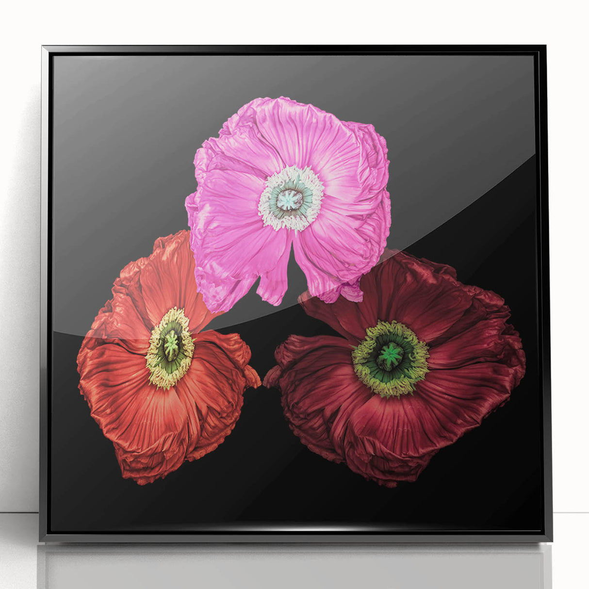 Framed wall art featuring a botanical poppy design on a black background, showcasing vibrant colors and intricate details, adding elegance to any space.