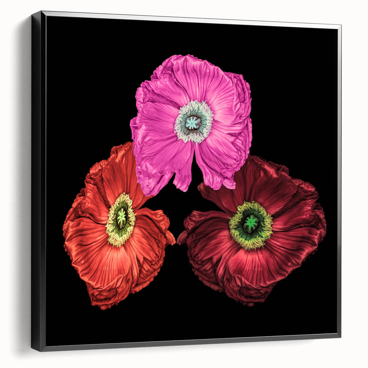 Framed canvas featuring a botanical poppy design in vibrant colors, showcased from the side to highlight its black frame, ideal for modern decor.