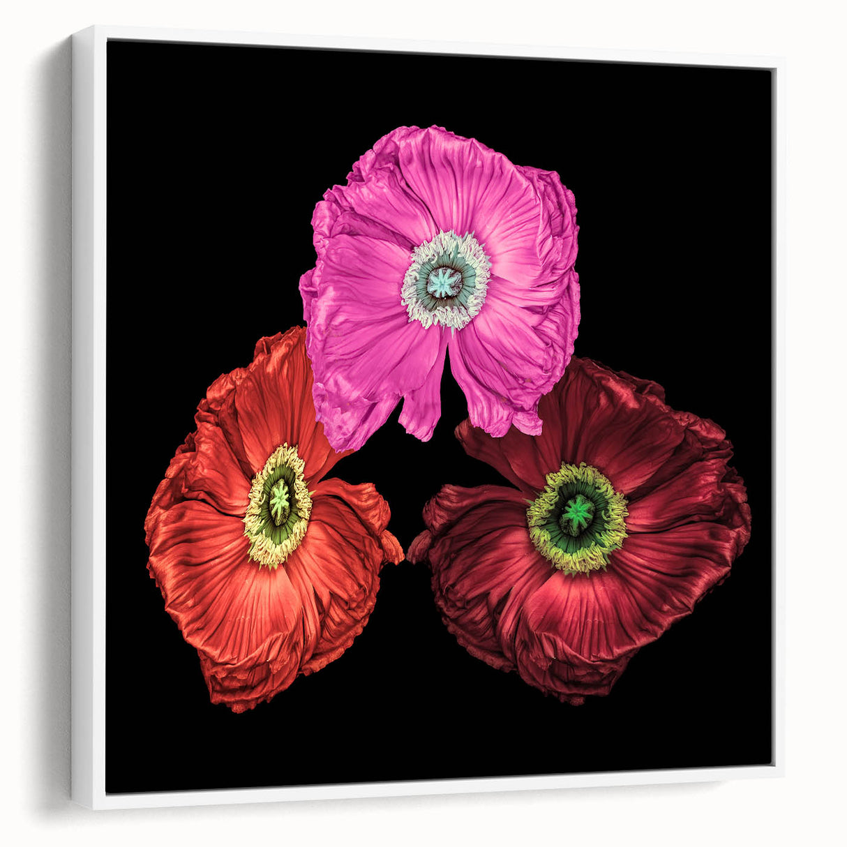 Framed wall art featuring a botanical poppy design on a white canvas, showcasing delicate floral details and a modern aesthetic, ideal for home decor enhancement.