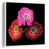 Framed wall art featuring a botanical poppy design on a white canvas, showcasing delicate floral details and a modern aesthetic, ideal for home decor enhancement.