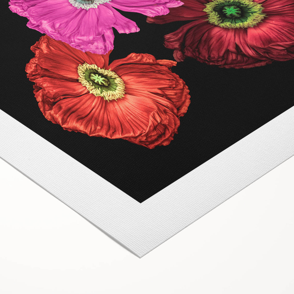 Vibrant rolled canvas wall art showcasing a botanical poppy design, featuring intricate details and lively colors, perfect for home decor enhancement.