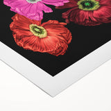 Vibrant rolled canvas wall art showcasing a botanical poppy design, featuring intricate details and lively colors, perfect for home decor enhancement.