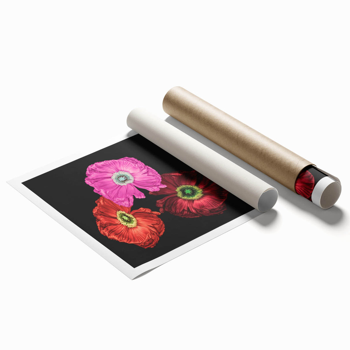 Vibrant botanical poppy design wall art print featuring colorful flowers on a soft white background, rolled for easy display and shipping, perfect for home decor.