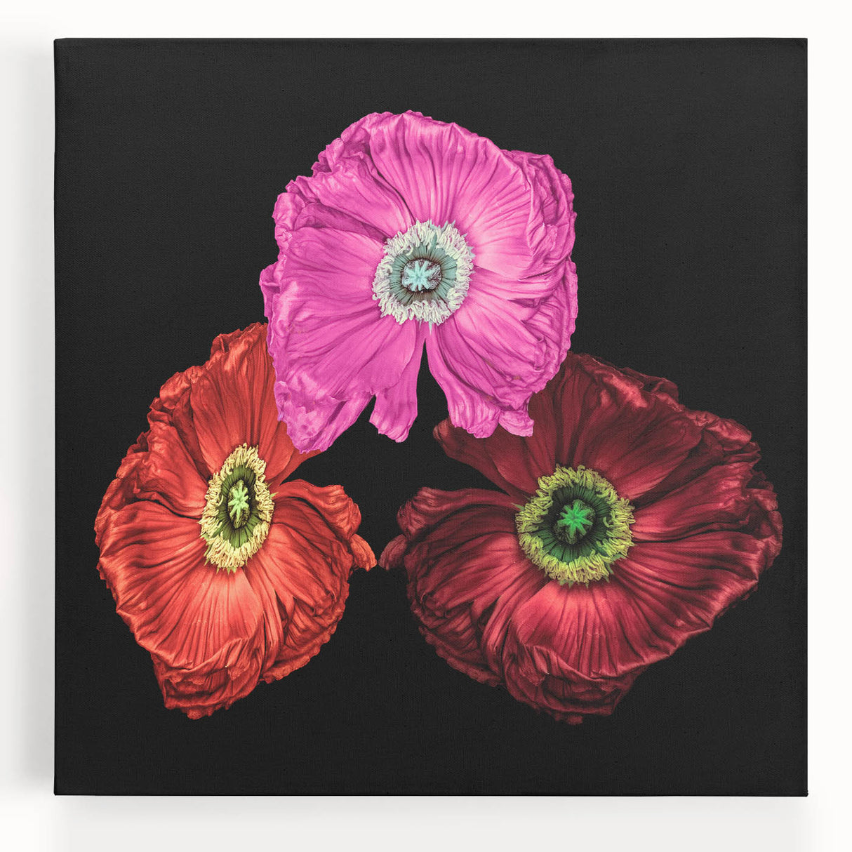 Vibrant botanical poppy wall art design on stretched canvas, showcasing vivid red and green colors against a white background, perfect for home decor.