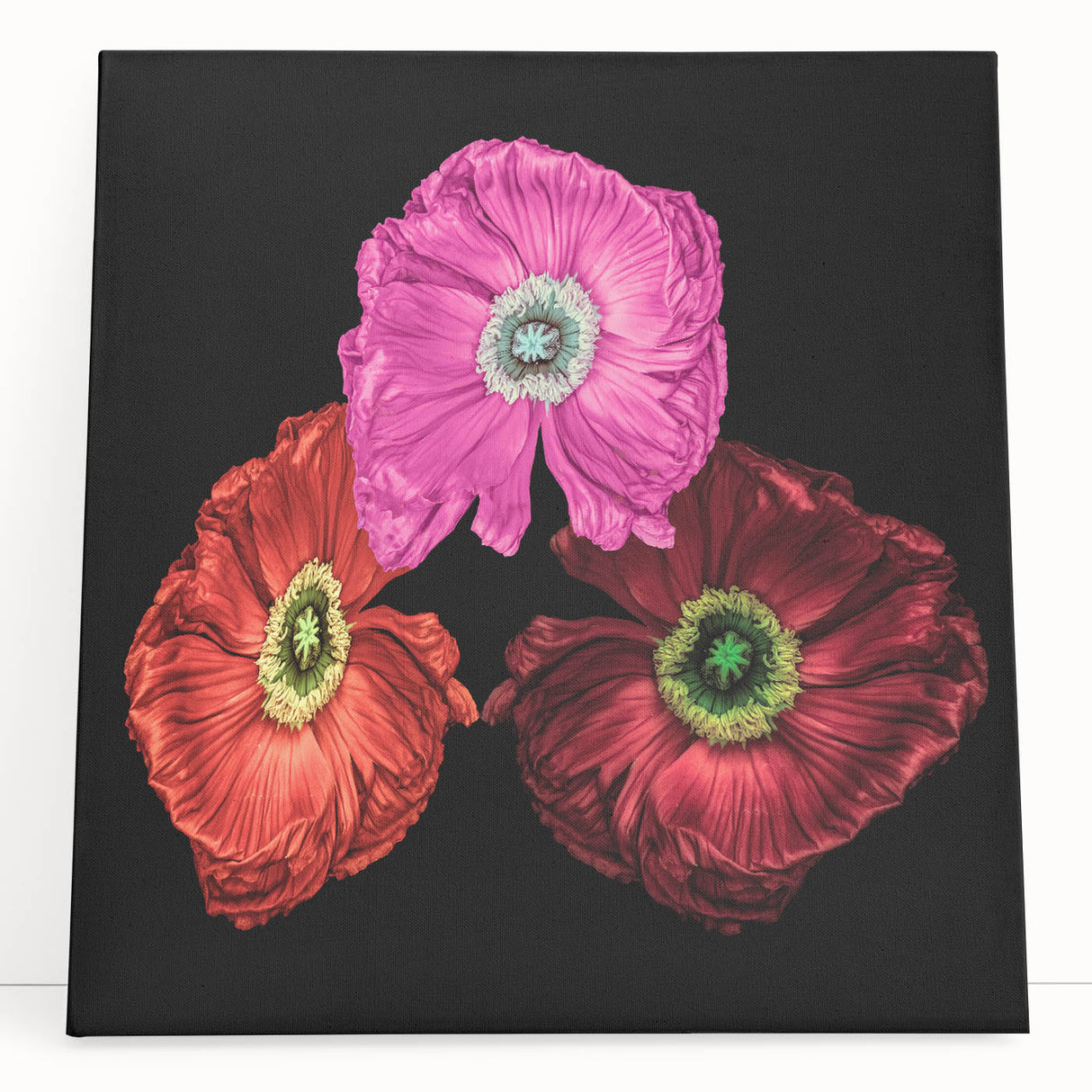 Vibrant stretched canvas wall art featuring a botanical poppy design, showcasing rich colors and intricate floral details, perfect for home decor enhancement.
