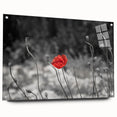 Botanical poppy wall art design displayed in acrylic glass, showcasing vivid colors and intricate details, perfect for modern home decor. Ideal for floral enthusiasts.