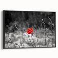Framed canvas wall art showcasing a botanical poppy design with vibrant colors, presented in a sleek black frame, ideal for modern home decor.