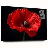 Acrylic glass wall art showcasing a botanical poppy design in vibrant colors, elegantly displayed from a side view, perfect for home decor and floral enthusiasts.