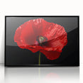Framed wall art featuring a botanical poppy design on a black background, showcasing vibrant colors and intricate details, perfect for home decor enhancement.