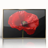 Framed botanical poppy wall art design showcasing vibrant red and green colors with an elegant gold frame, perfect for enhancing modern home decor aesthetics.