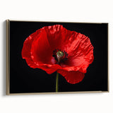 Framed wall art collection showcasing a botanical poppy design on canvas, featuring a gold frame and side view, perfect for home decor and floral enthusiasts.