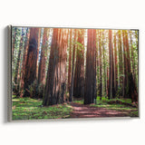 Framed wall art featuring a vibrant botanical design of redwood trees, with a sleek silver frame, showcasing intricate details and rich colors, perfect for nature lovers.