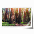 Botanical wall art print featuring vibrant redwood trees and colorful flowers, perfect for adding a natural touch to home decor. Rolled and ready for framing.