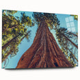 Acrylic glass wall art showcasing a botanical design of vibrant redwood trees, displayed from the side with visible mounting pins, perfect for nature-inspired decor.
