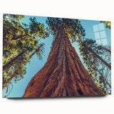Acrylic glass wall art showcasing a botanical design of vibrant redwood trees, displayed from the side with visible mounting pins, perfect for nature-inspired decor.