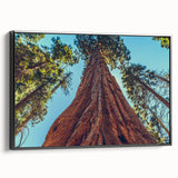 Framed wall art featuring a botanical design of vibrant flowers and majestic redwood trees, presented in a sleek black frame, adding a touch of nature to any decor.
