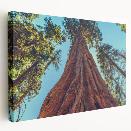 Stretched canvas wall art featuring a vibrant botanical design of redwood trees, showcasing intricate details and natural colors in a side view perspective, ideal for nature-themed decor.
