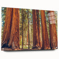 Acrylic glass wall art showcasing a botanical design of vibrant redwood trees, elegantly displayed from a side view with decorative pins, perfect for nature lovers.