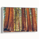 Framed canvas wall art showcasing a botanical design featuring vibrant flowers and majestic redwood trees, presented from a white side view to highlight its artistic details.