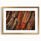 Framed botanical wall art showcasing vibrant flowers and redwood trees, elegantly matted and bordered in gold, perfect for enhancing home decor with nature's beauty.