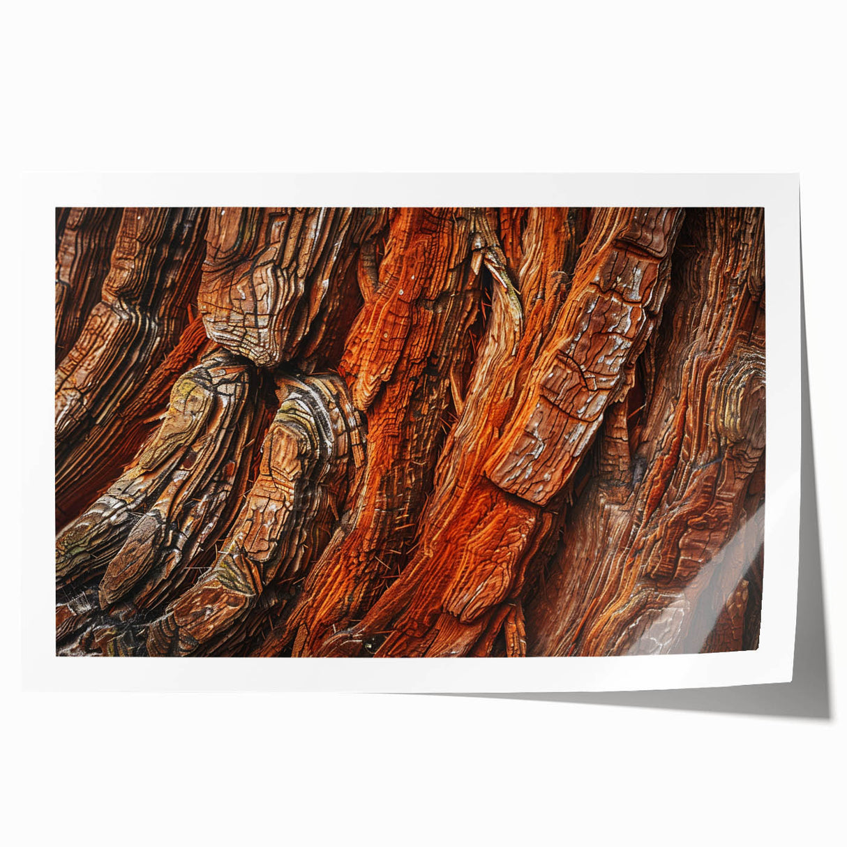 Vibrant botanical wall art print showcasing intricate redwood trees against a serene backdrop, ideal for nature lovers and home decor enthusiasts. Perfect for adding a touch of elegance to any room.