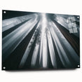 Side view of a botanical wall art collection featuring vibrant redwood trees, printed on acrylic glass and elegantly displayed with pins, perfect for nature lovers' decor.